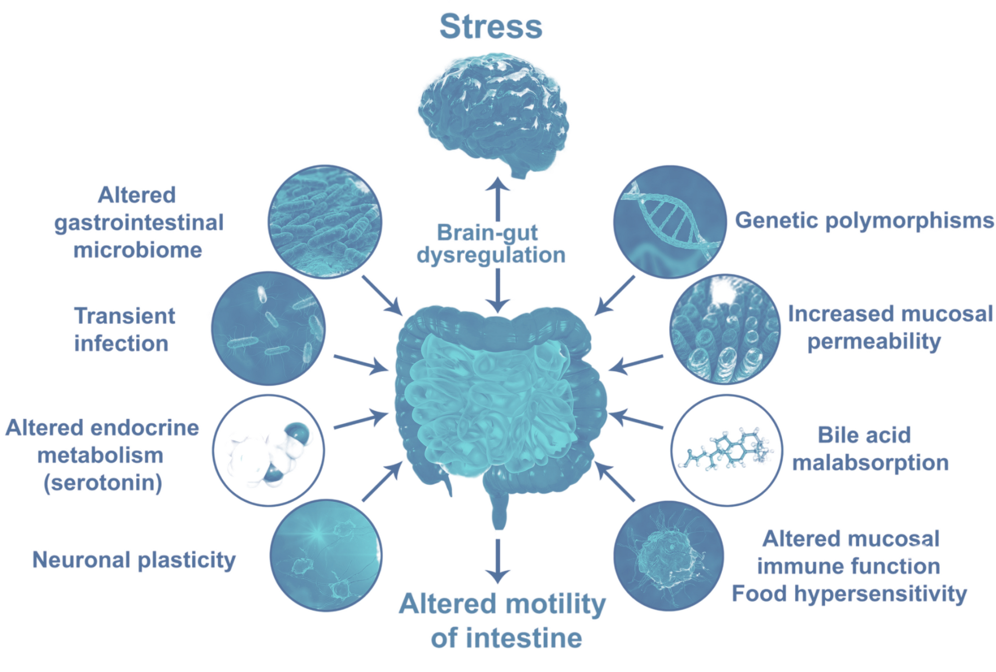 delivered express the effects of thoughts, emotions and stress